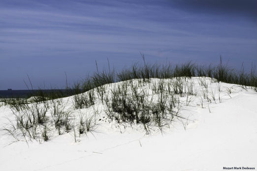 Petit Bois Sand Island